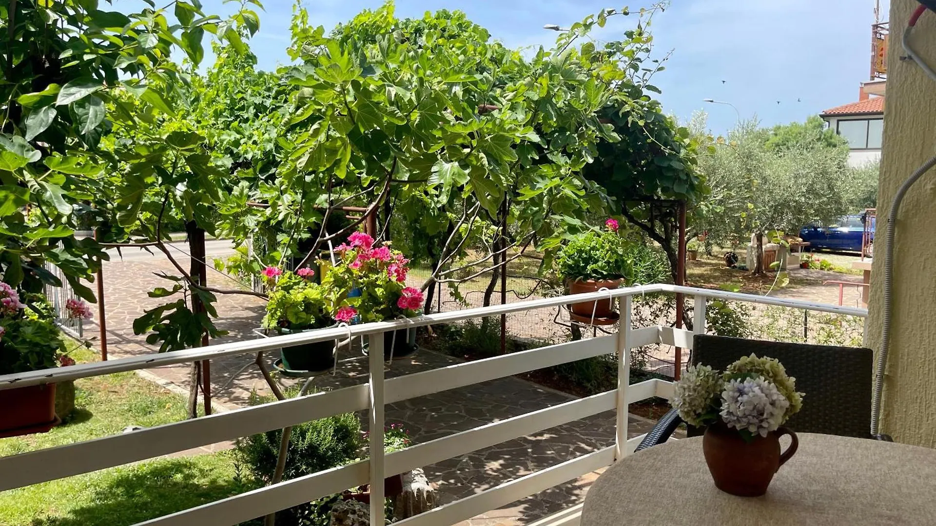 Apartments Maria Umag 0*,